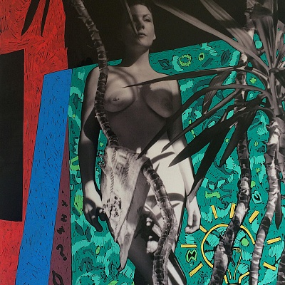 <em><strong>Lina 1, 2016 105 x 70 cm Pen on photography</strong></em>, 