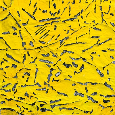 <em><strong>Scarred</strong></em>, 2015<br/> Oil and gloss paint skin cut - outs woven and mounted on canvas, 50 x 50 cm