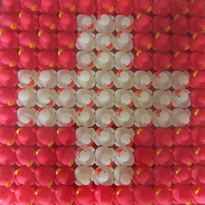 <em><strong>Swiss Flag</strong></em>, 2016<br/> Mixed media on board with plexi cover, 55 x 55 cm